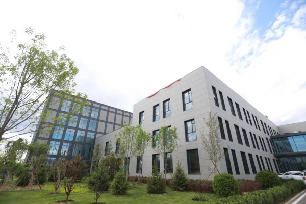 Earth System Numerical Simulation Facility