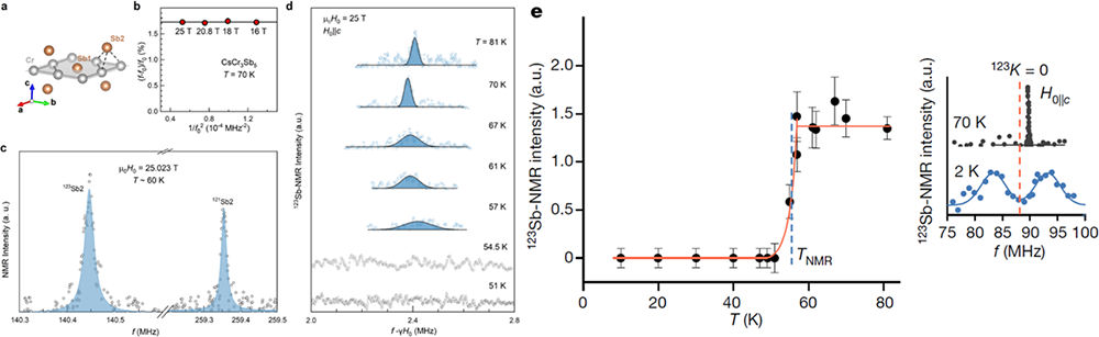 Discovery of a New Chromium-Based Kagome Superconductor-The Synergetic Extreme Condition Experimental Facility Plays a Crucial Role