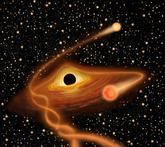 New Evidence for the Existence of Intermediate-Mass Black Holes Discovered