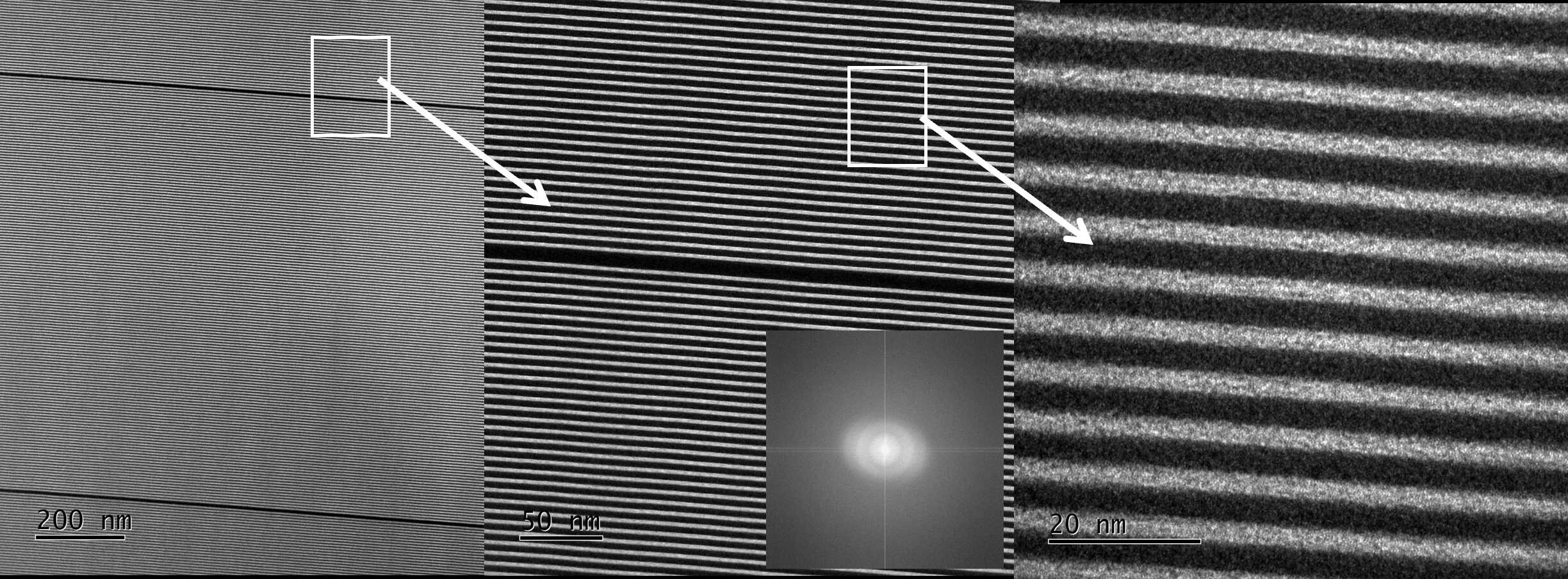 U020251017843062920004.png